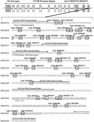 Methylation of FKBP5 and SLC6A4 in Relation to Treatment Response to Mindfulness Based Stress Reduction for Posttraumatic Stress Disorder